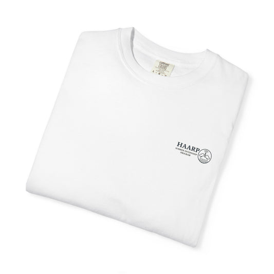 HAARP: Summer Internship Program